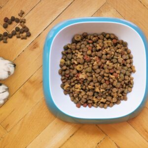 Ceramic Slow-Feed Bowl